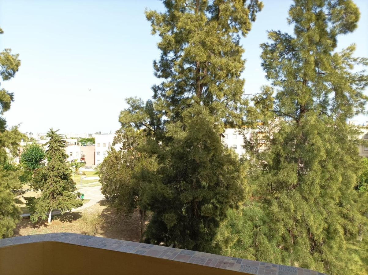 Super Luminoso Y Muy Tranquilo Con 2 Dormitorios Jerez de la Frontera Luaran gambar